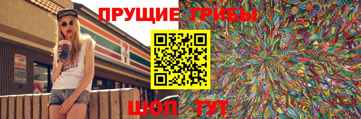Галлюциногенные грибы Psilocybe Обнинск